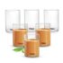 Cello Glassy Square Lunch Box Set Of 2 Pcs (320Ml X 2) With Jacket For Office, Transparent | Microwave Safe Leadfree Toughened Glass, Airtight Leakproof Adjustable Carry Strap Tiffin Box For Daily Use