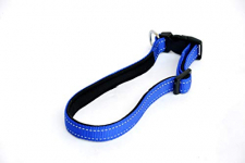 Dogista Pet Products Reflactive Collar Padded Small(Color May Vary) Small