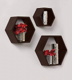 Hoopy Wall Mounted Hexagon Shape Wooden Wall Shelves For Wall Decor Set Of 3 (Brown)