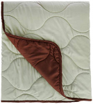Amazon Brand – Solimo Microfibre Reversible Quilt Blanket, Single, 120 Gsm, Pistachio Green And Walnut Brown