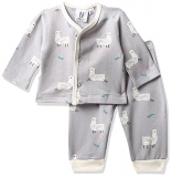 Longies Unisex-Baby Preemie Winter Night Suit Front Open Full Sleeves Single Pajama Set (Lpwnsfssv001_Grey001_Free Size)