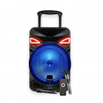 Ant Audio Rock 900 Trolley Party Speaker With Karaoke With Fm Radio, Micro Sd Card, Usb, Wired & Wireless Mic, Led Lights & 12Inch (30.48 Cm) Subwoofer – 90 Watt